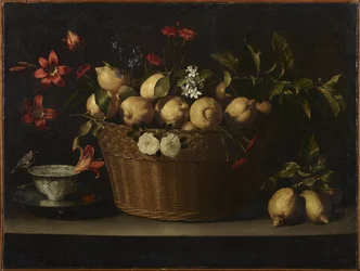 Stilleben med citroner i en flätad korg, omkring 1643-1649