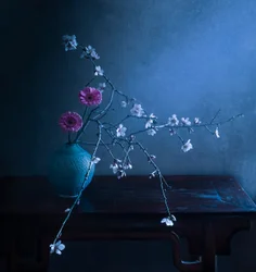 Mörk blommig elegans