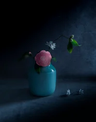 Stämningsfull rosa blomning