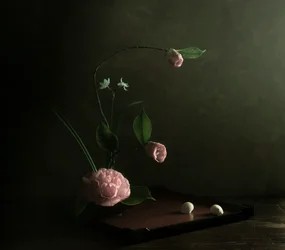 Ikebana med rosa kamelia