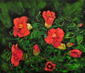 Ljusa röda blommor