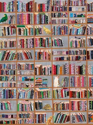De fantasifulla biblioteksvännerna