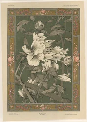 Blommor, tavla 31 från "Fantaisies decoratives", graverad av Gillot, utgiven av Jules Rouam, Librairie de l