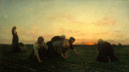Ogräsrenserskorna, 1868