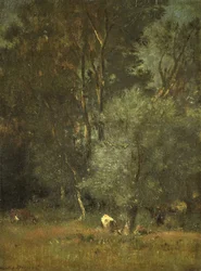 Utsikt i skogen
