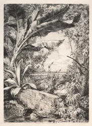 Växthusets växter, 1872.