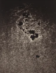 Utan titel (studie av solens yta),1893 (foto)