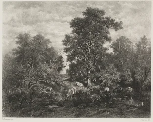 Dammen, efter Théodore Rousseau (1812-67)