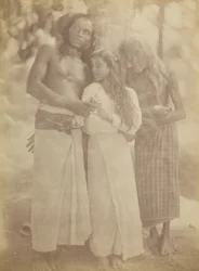 [Ceylonesisk grupp vid ett träd], 1878.