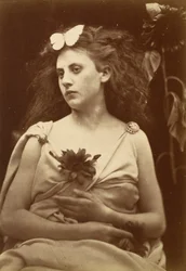 Solrosen, tidigt 1870-tal.