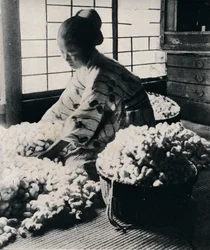 5000 silkesmaskar äter 125 lbs mullbär för 8 härvor av siden, vilket gör en kimono, c1900, 1921
