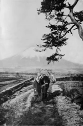Bönder i regionen Fuji inte med namn utan bara som O Yama, det ärade berget, c1900,