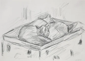 Cats Nestling, 2015 (penna)