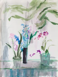 Florist Grey Day, 2017,