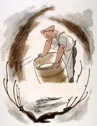 Humoristisk vinillustration 1946. Illustration av Julien Pavil
