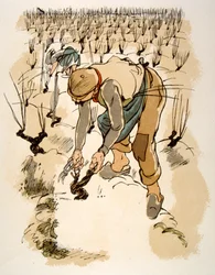 Humoristisk vinillustration 1946. Illustration av Julien Pavil