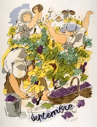 Humoristisk vinillustration 1946. Illustration av Julien Pavil