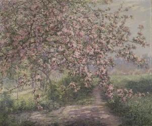 Ett blommande äppelträd (olja på duk)