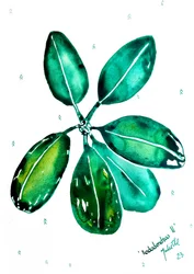 Färska rododendronblad