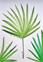 Tropiskt palmblad
