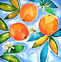 Livfulla apelsinblommor
