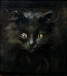Porträtt av en katt