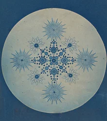 [Kalgelalgerfrustler], ca. 1870.