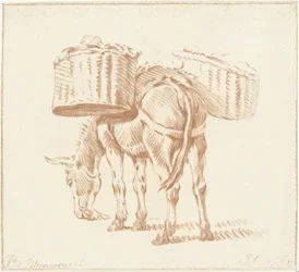 Laddad åsna