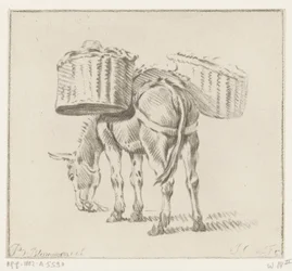 Laddad åsna