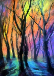 Ljus i den förtrollade skogen