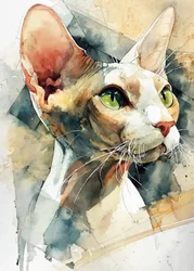 Sphynx-katt med gröna ögon