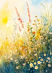 Färgglada ängsblommor