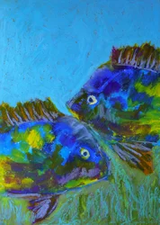 Livfulla tropiska fiskar