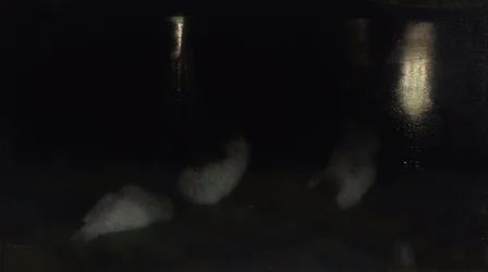 Nocturne. Svanar i Saxon Garden i Warszawa på natten