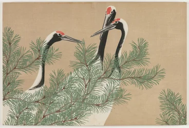 Flowers of a Hundred Worlds (Momoyogusa): Tranor (Tsuru)