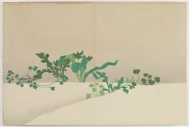 Blommor i hundra världar (Momoyogusa): Sju örter från tidig vår (Nanagusa)
