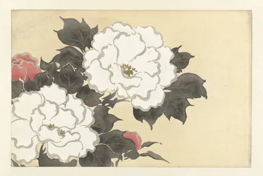Pioner fukamigusa Flowers of a Hundred Worlds (serietitel) Momoyogusa, vol. 1 (serietitel)