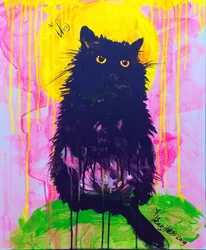 Mystisk svart katt