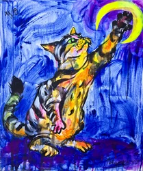 Den lekfulla kattmånen