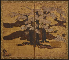 Blommande körsbärsträd, Edo-period, ca.1580-1635.