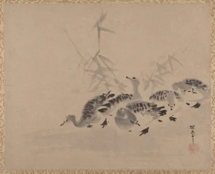 Ankor och vass, ca. 1650.