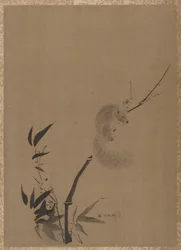 Ekorre på bambu, ca. 1650.