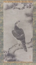 Hawk on a Pine Shoo zu, 1500-talet.