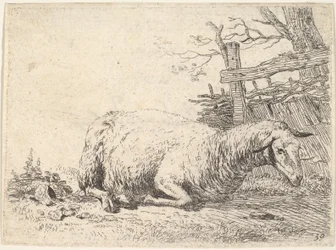 Ett får som ligger med benen vikta under kroppen bredvid ett trästaket, hon..., ca. 1655.