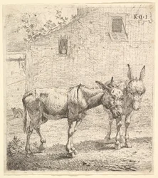 Två åsnor som står på en gräsbevuxen gård, en i profilvy åt höger och en annan bakom..., 1652.