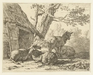 Fyra får