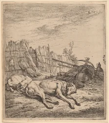 Jakthundar