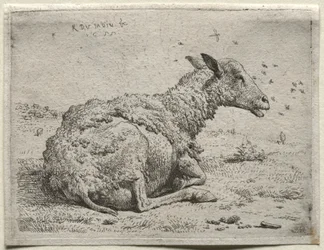 Fåren och flugorna.