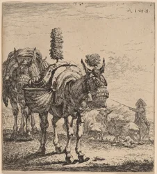 Två mulor
