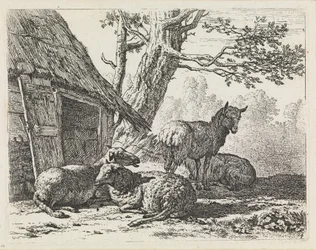 Fyra får